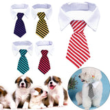 Formal Necktie Collar