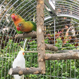 Natural Wooden Birds Perch