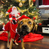 Christmas Pet Costume