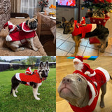 Christmas Pet Costume